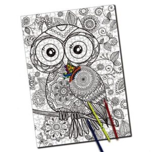 פאזל צביעה ינשוף - 500 חלקים