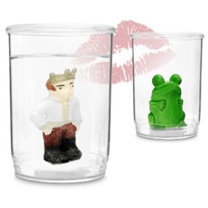 צפרדע הקסם: צפרדע הופך לנסיך